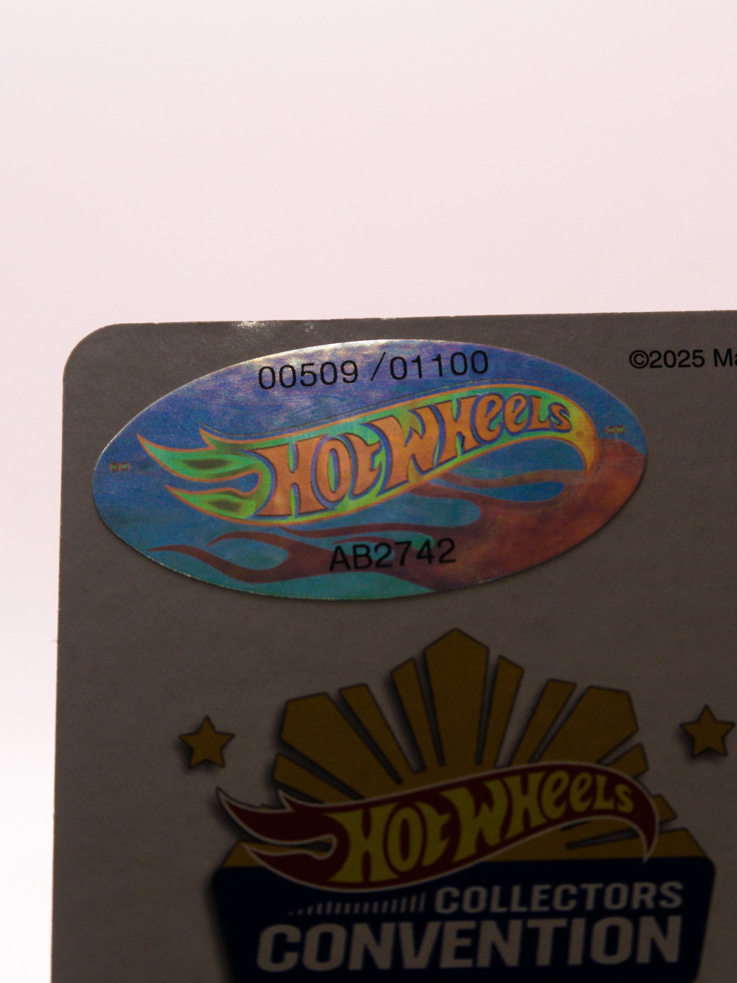 Philippines Convention Porsche 911 Carrera RS 3.8 Right #509/1100